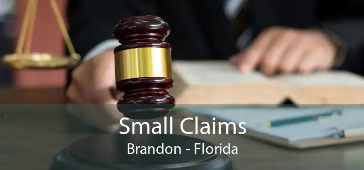 Small Claims Brandon - Florida