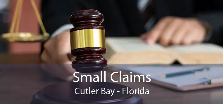 Small Claims Cutler Bay - Florida