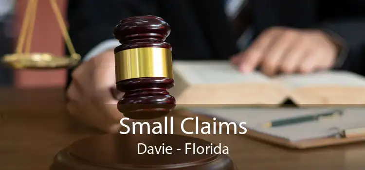 Small Claims Davie - Florida