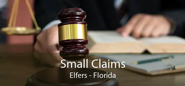 Small Claims Elfers - Florida