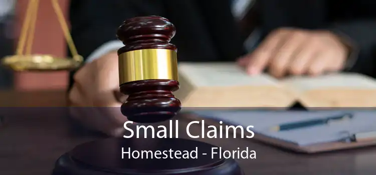 Small Claims Homestead - Florida