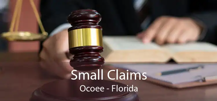 Small Claims Ocoee - Florida