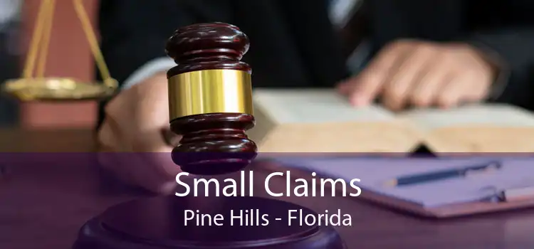 Small Claims Pine Hills - Florida