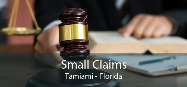 Small Claims Tamiami - Florida
