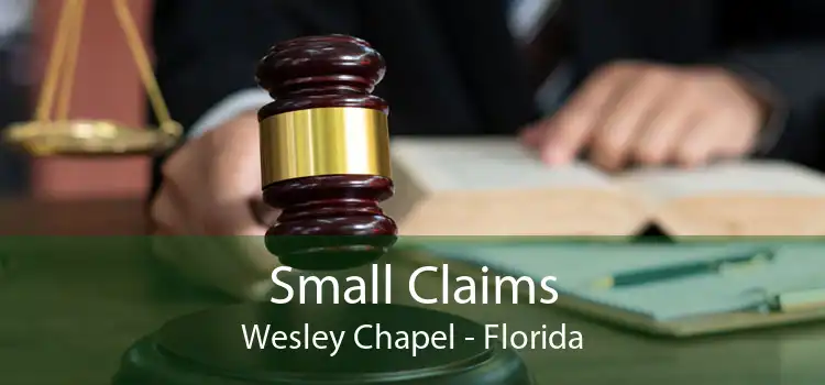 Small Claims Wesley Chapel - Florida
