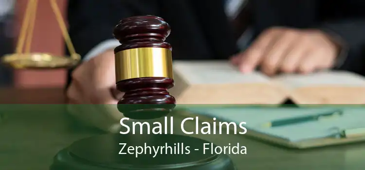 Small Claims Zephyrhills - Florida